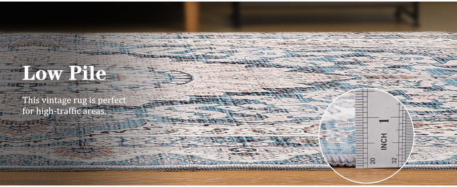 Small Rugs for Entryway 2×3 Feet, Non-Slip Doormat Indoor Entrance Vintage