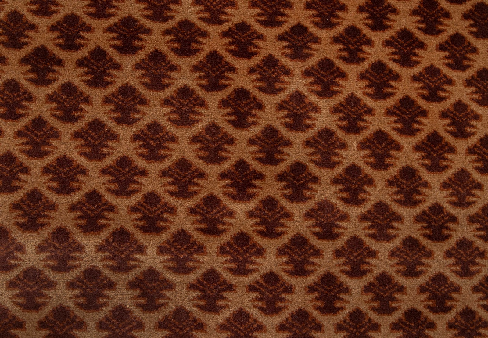 4×6 Camel Tribal Senneh Hand Knotted Fine Weave Soft Thick Plush Feel Wool Rug