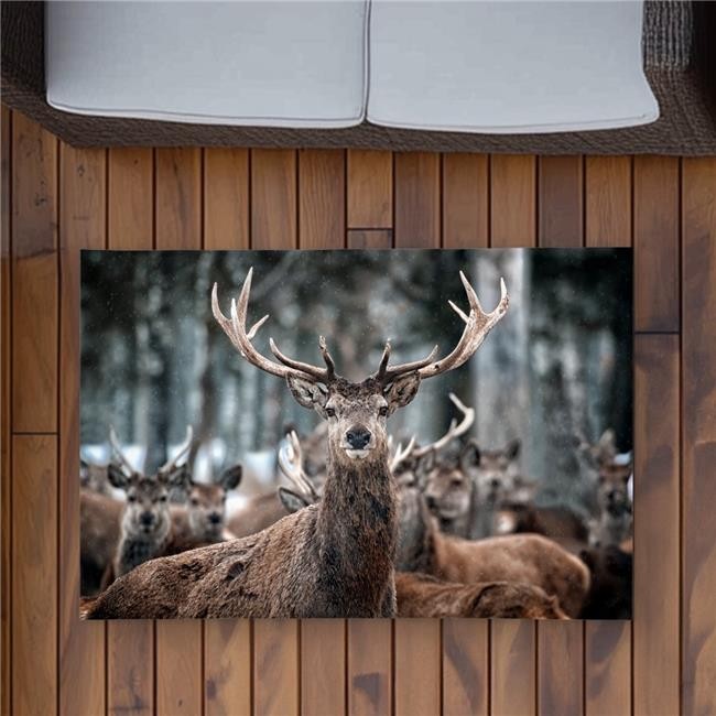2×3 ft. Stags Rustic Office Outdoor Area Rug – Home Decor Essential – Rectangle