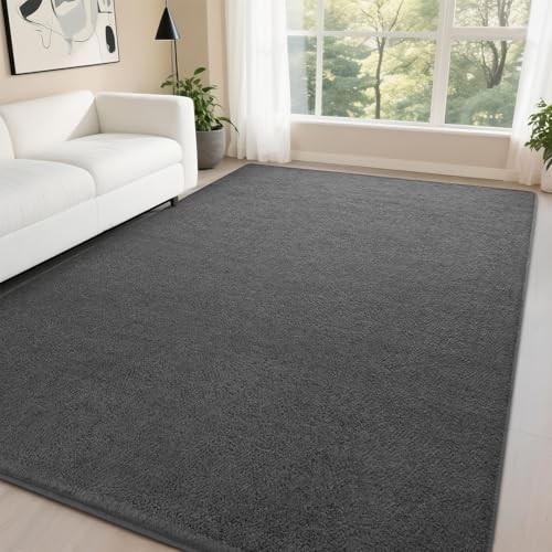 5×7 Dark Gray Rugs for Bedroom Living Room, Soft Fluffy 5 Ft X 7 Ft Dark Grey