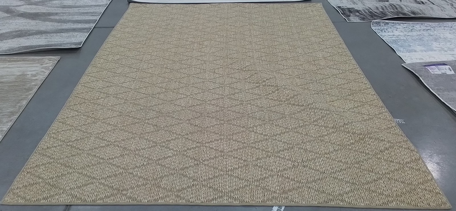 BEIGE / BEIGE 8′-0″ x 10′-0″ Back Stain Rug, Reduced Price 1172796141 PAB361A-8