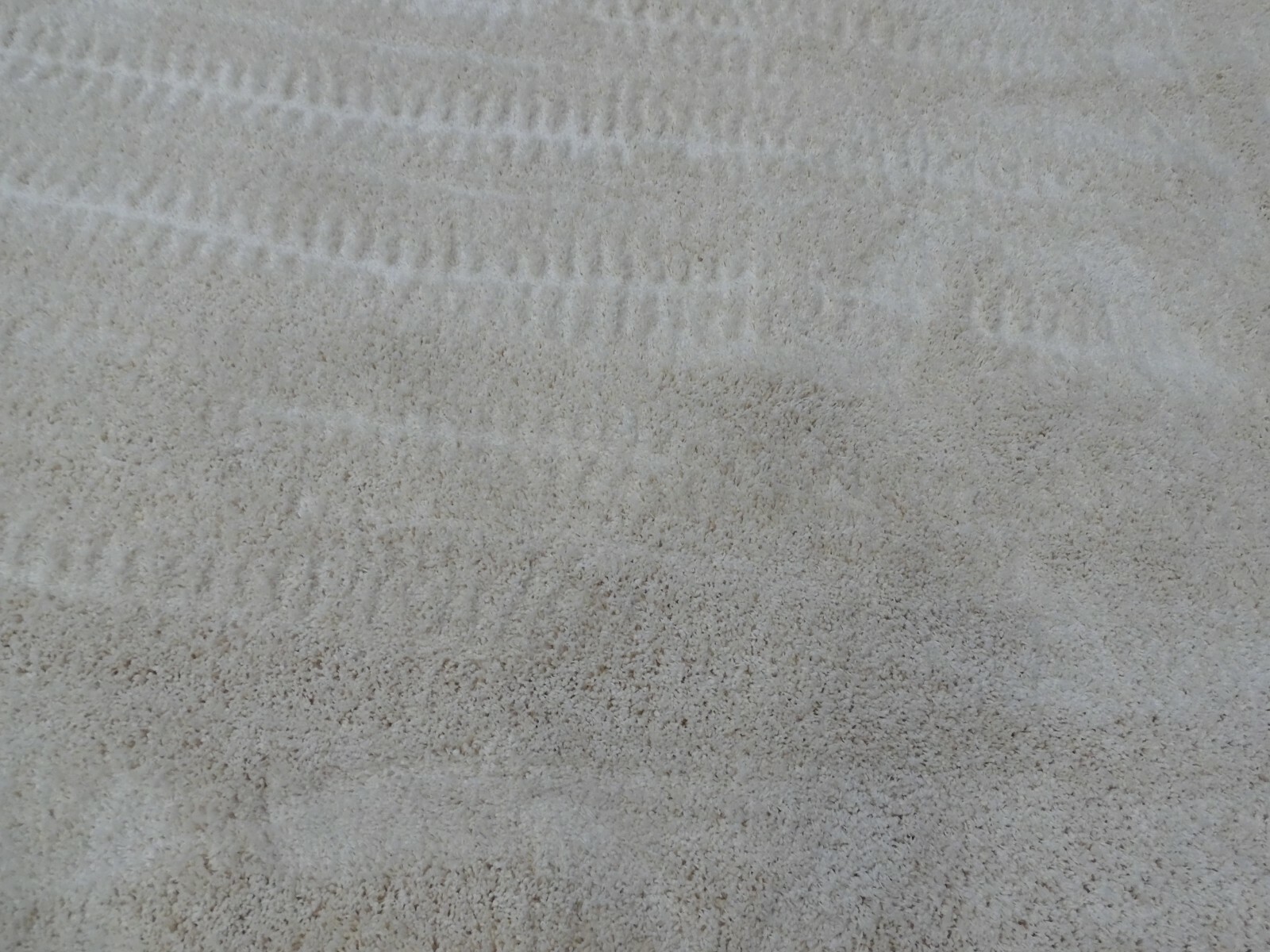 IVORY 8′-6″ X 12′ Back Stain Rug, Reduced Price 1172613830 SG151-1212-9