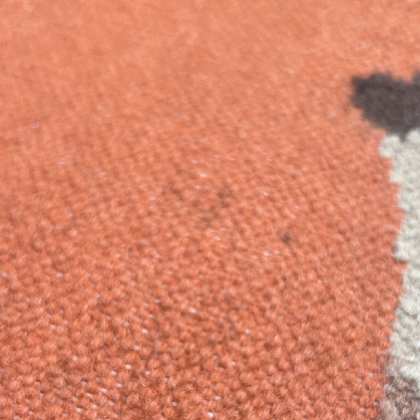 COLD PICNIC Wool Flat Weave FAWN Rug, Rectangle 25x 35 in, Orange