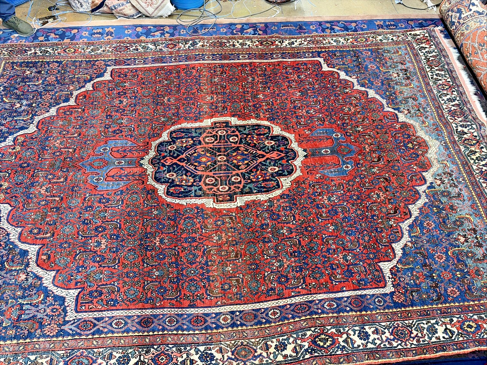Auth: 19th C Antique Kurdish Bidjar Collectors Choice Beauty Organic 8×11