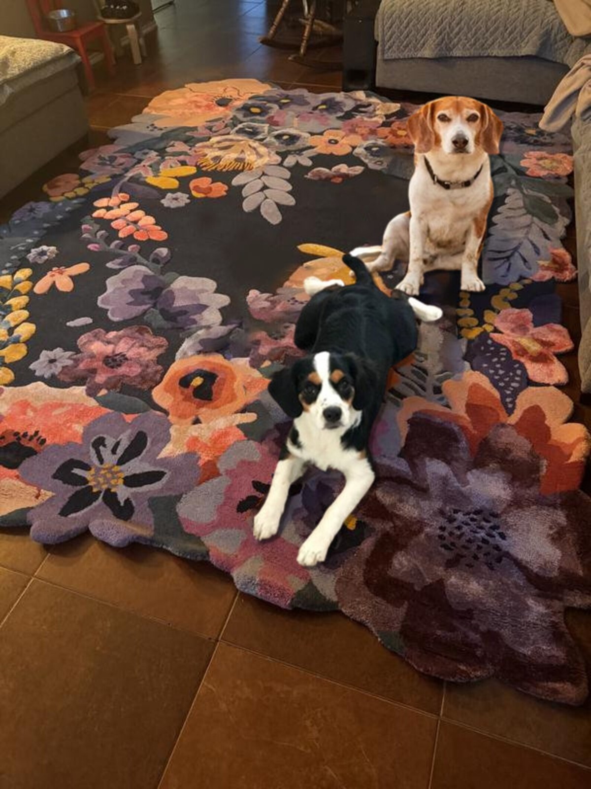 Jardin Rug Hand Tufted Area Rug 100% Woolen Rug for Bedroom, Rugs for Livingroom