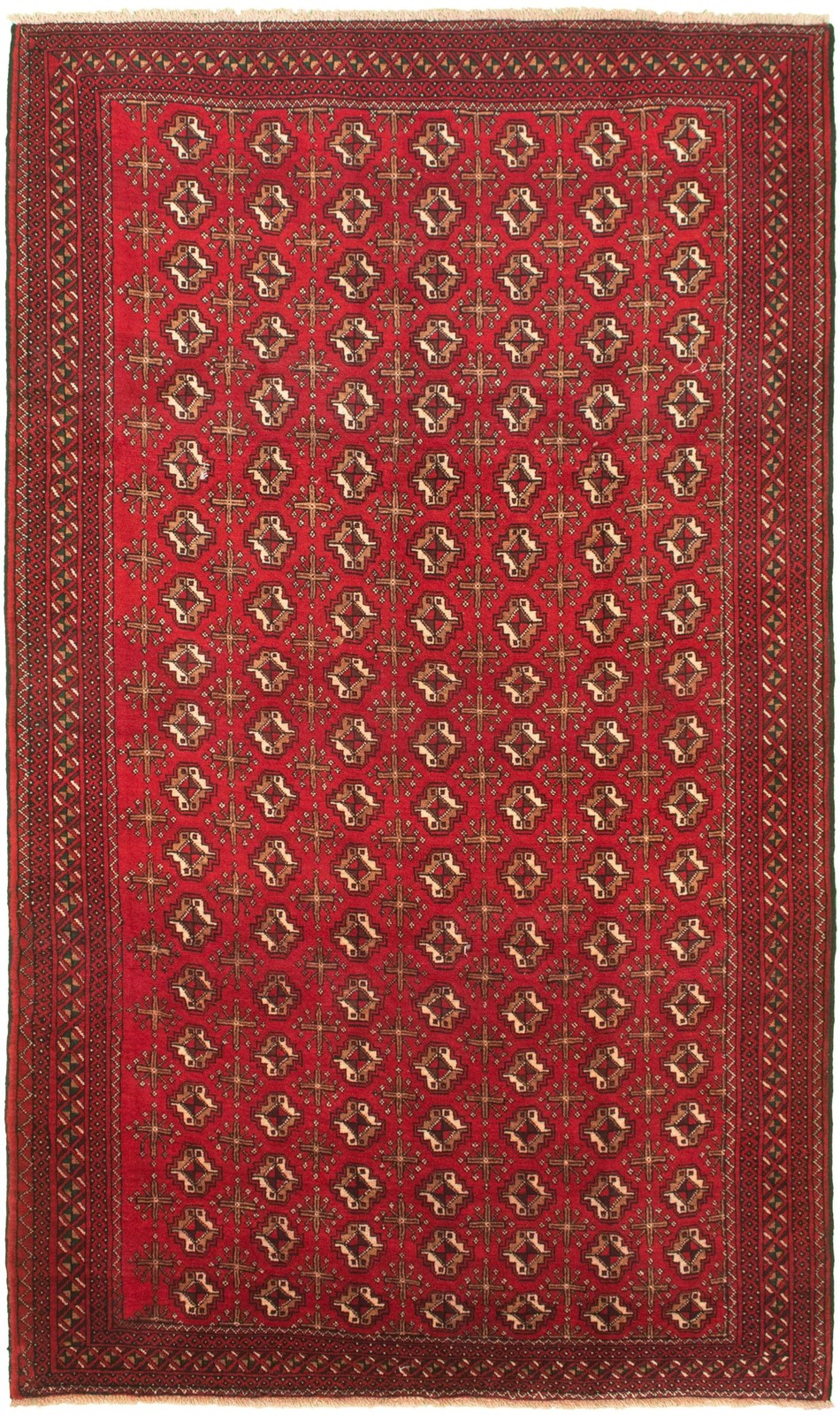 Traditional Red Hand-knotted Area Rug 5’6″ x 9’6″ Oriental Wool Carpet