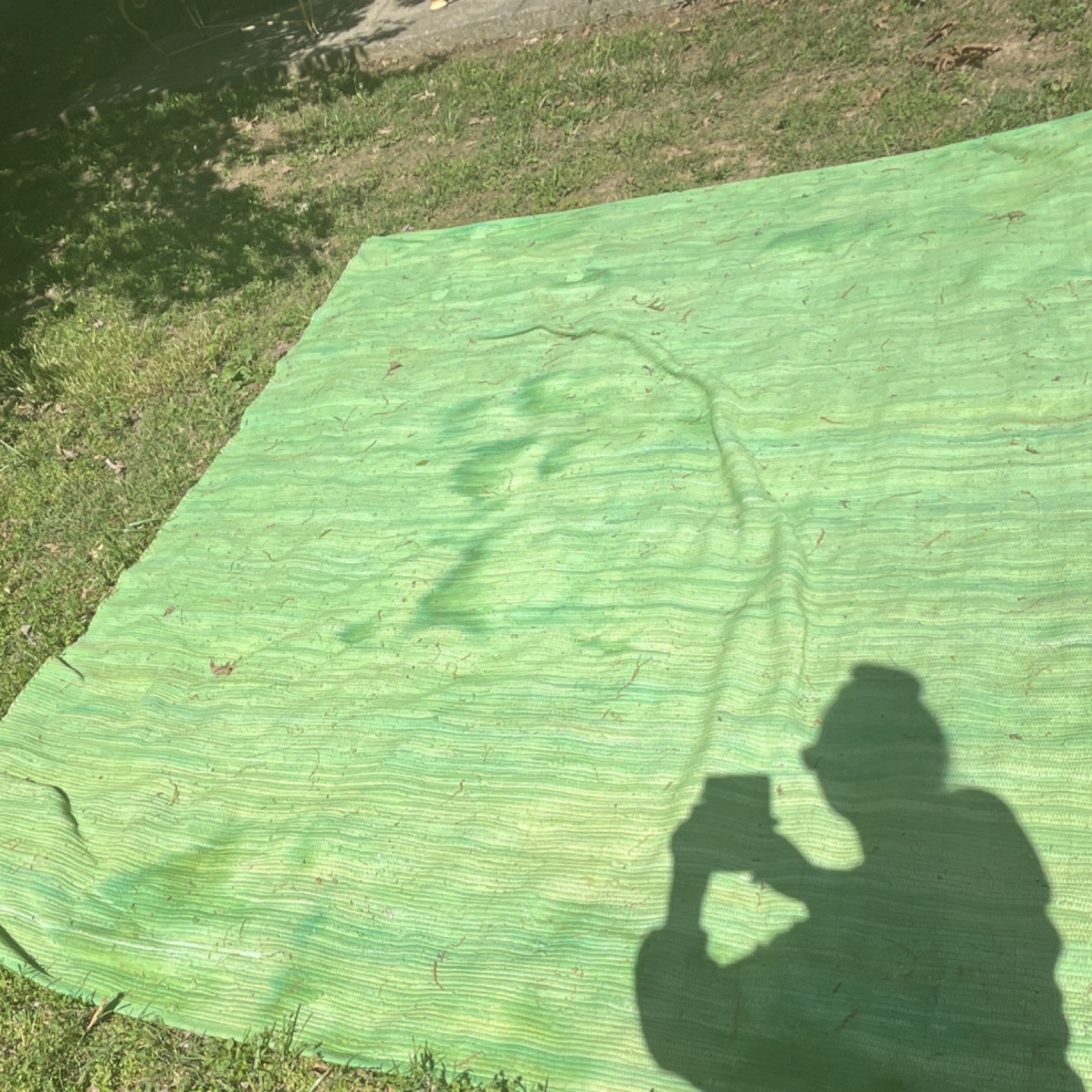 100% Cotton Hand Made Rag Rug from The Company Store Meadow Green 8ft x 10ft