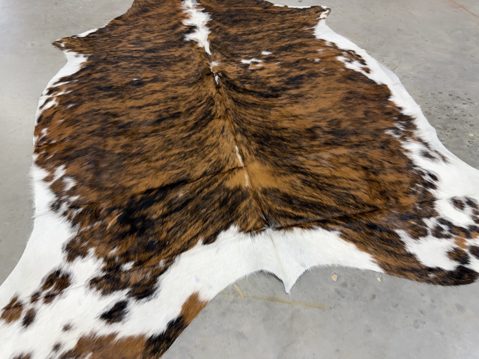 Premium Quality Exotic Brindle Brazilian Cowhide rug Tricolor size 6-7ft approx