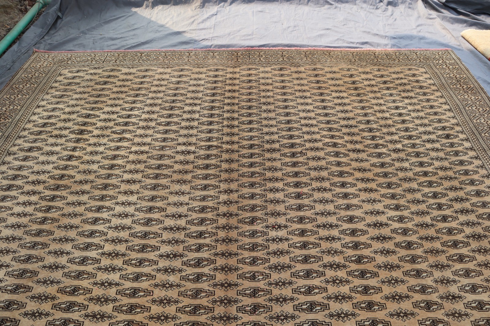 9’6×12’5 ft Antique Turkmen Bukhara Rug- Large Afghan Hand-Knotted Wool Area Rug