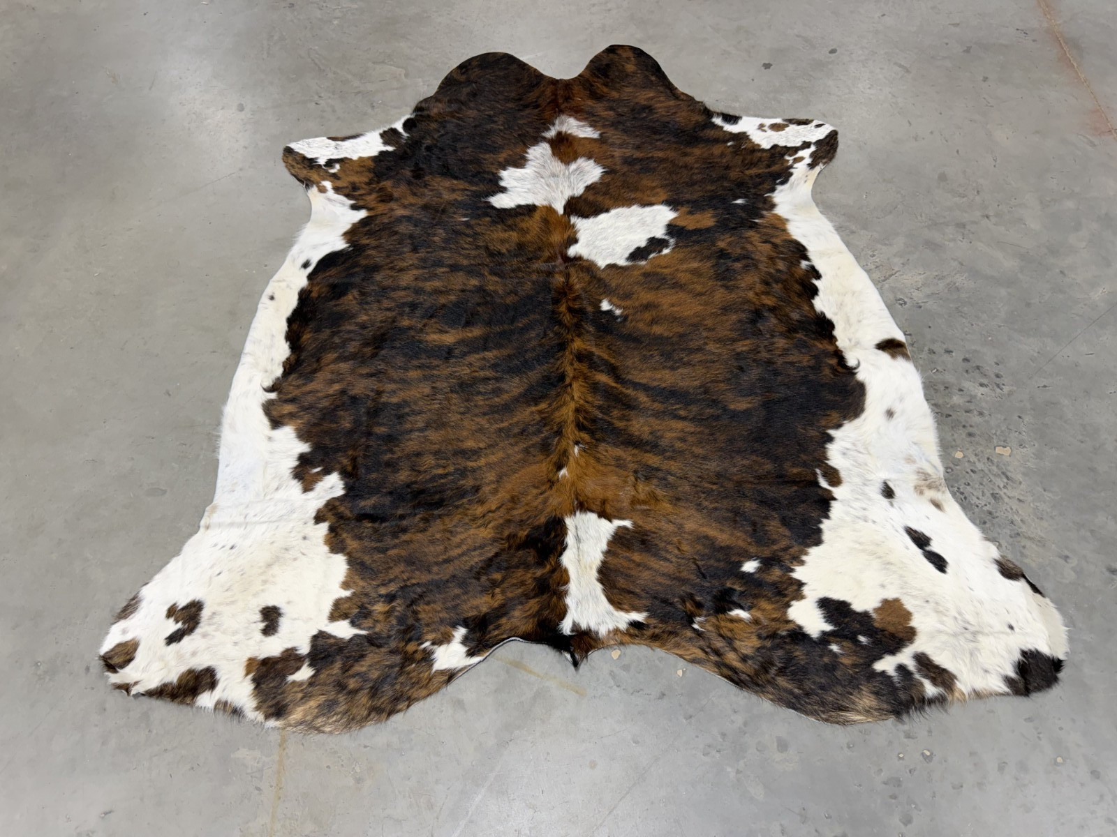 Premium Quality Exotic Brindle Brazilian Cowhide Rug Tricolor size 6-7ft approx