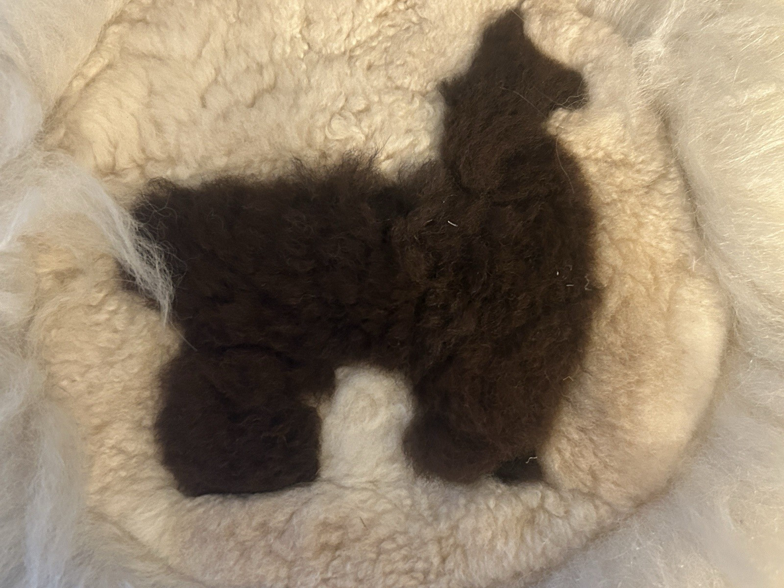 Beautiful Alpaca Llama Fur Peruvian Round Handmade Hide Stitched Rug Wall Art