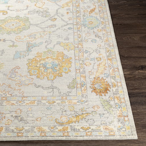 Surya Traditional Turkish Area Rug Beige Machine Woven NEW BDM-2311