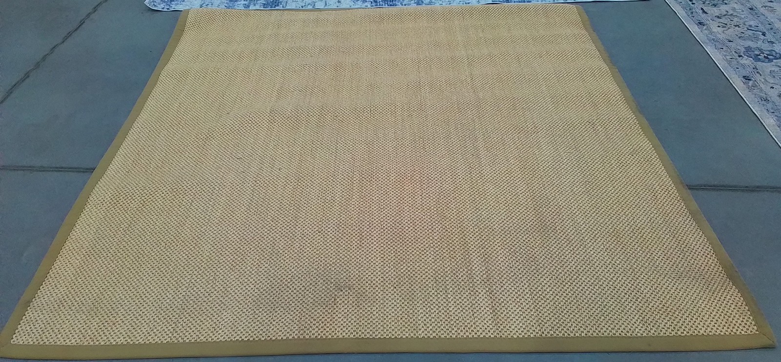 MAIZE / LINEN 8′-0″ x 8′-0″ Stained Rug, Reduced Price 1172805889 NF141B-8SQ