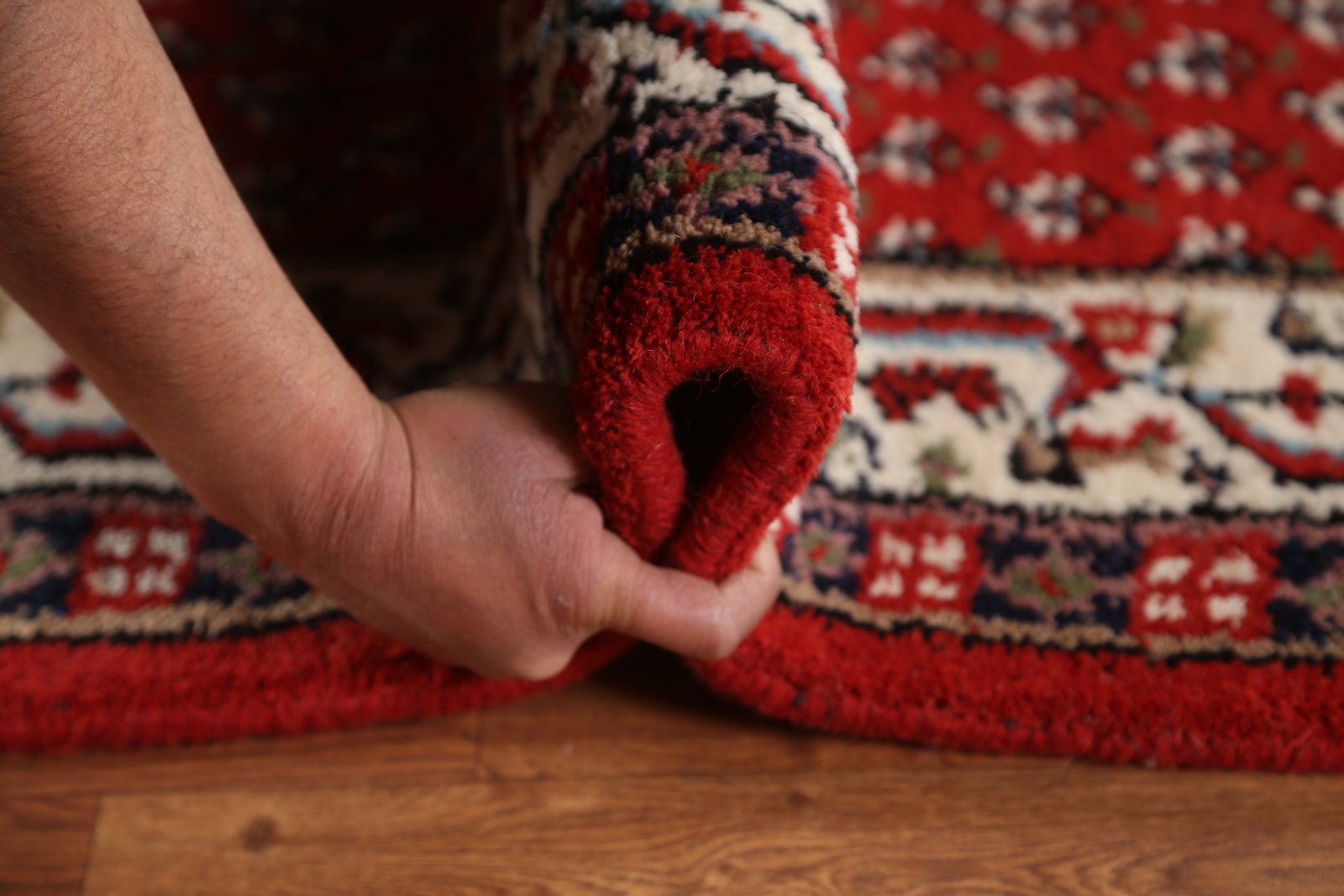Luxurious Handcrafted Indian 10′ Runner Rug Thick Plush 3×10 ft