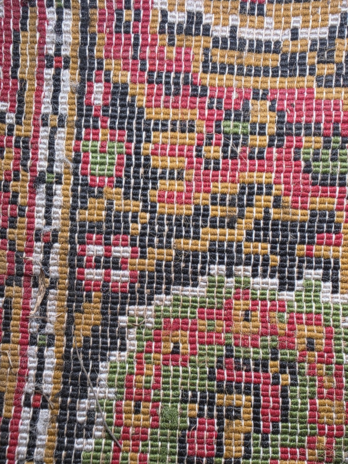 Soliroos and F 100% Wool Oriental Pattern Multicolor Area Rug Rectangle