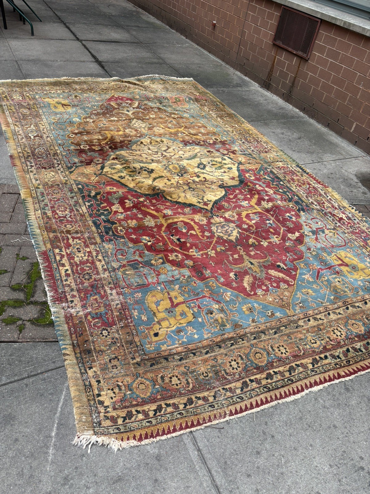Noble House Collection 100% New Zealand Wool Rug made in India