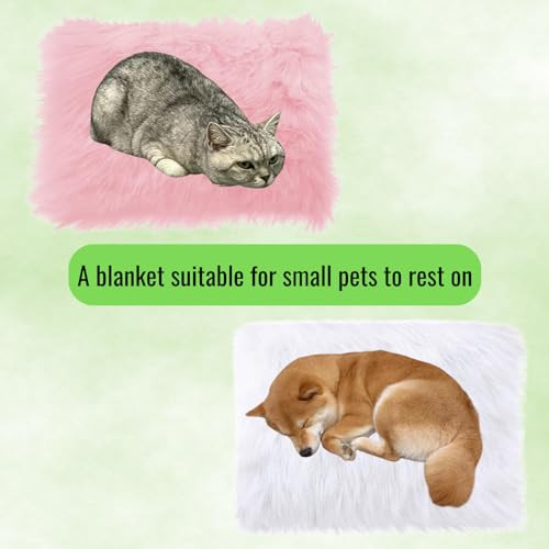 14×10 inches 1pcs Rectangle Faux Fur Plush Cushion, Area Rugs Fluffy Carpet
