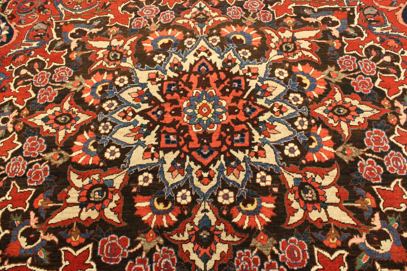9’7″ x 13’3″ ft. Colorful Hand Knotted Vegetable Dye Area Authentic Rug