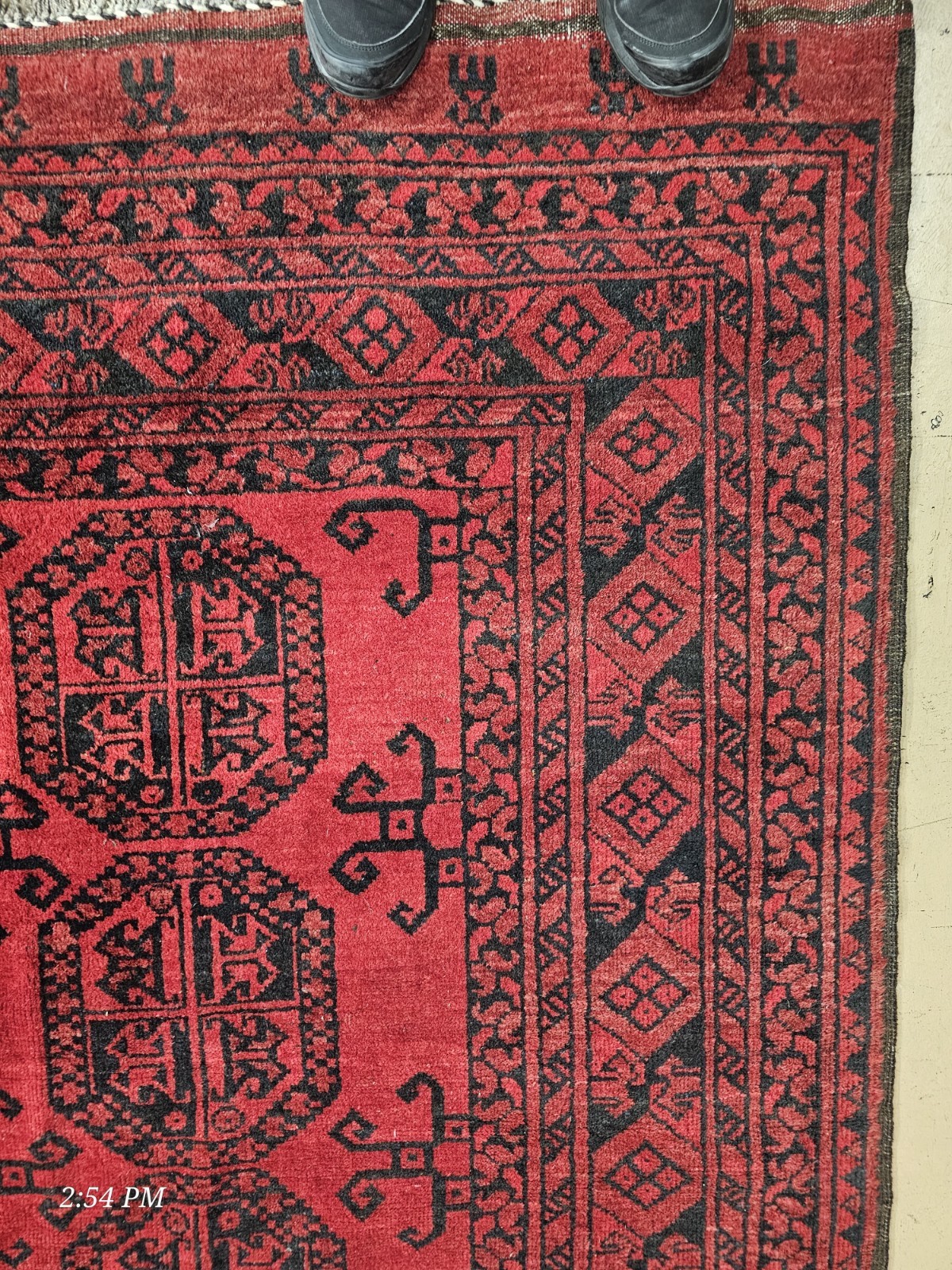 TURKMEN BUKHARA – TEKKE RUG Rug 6×9