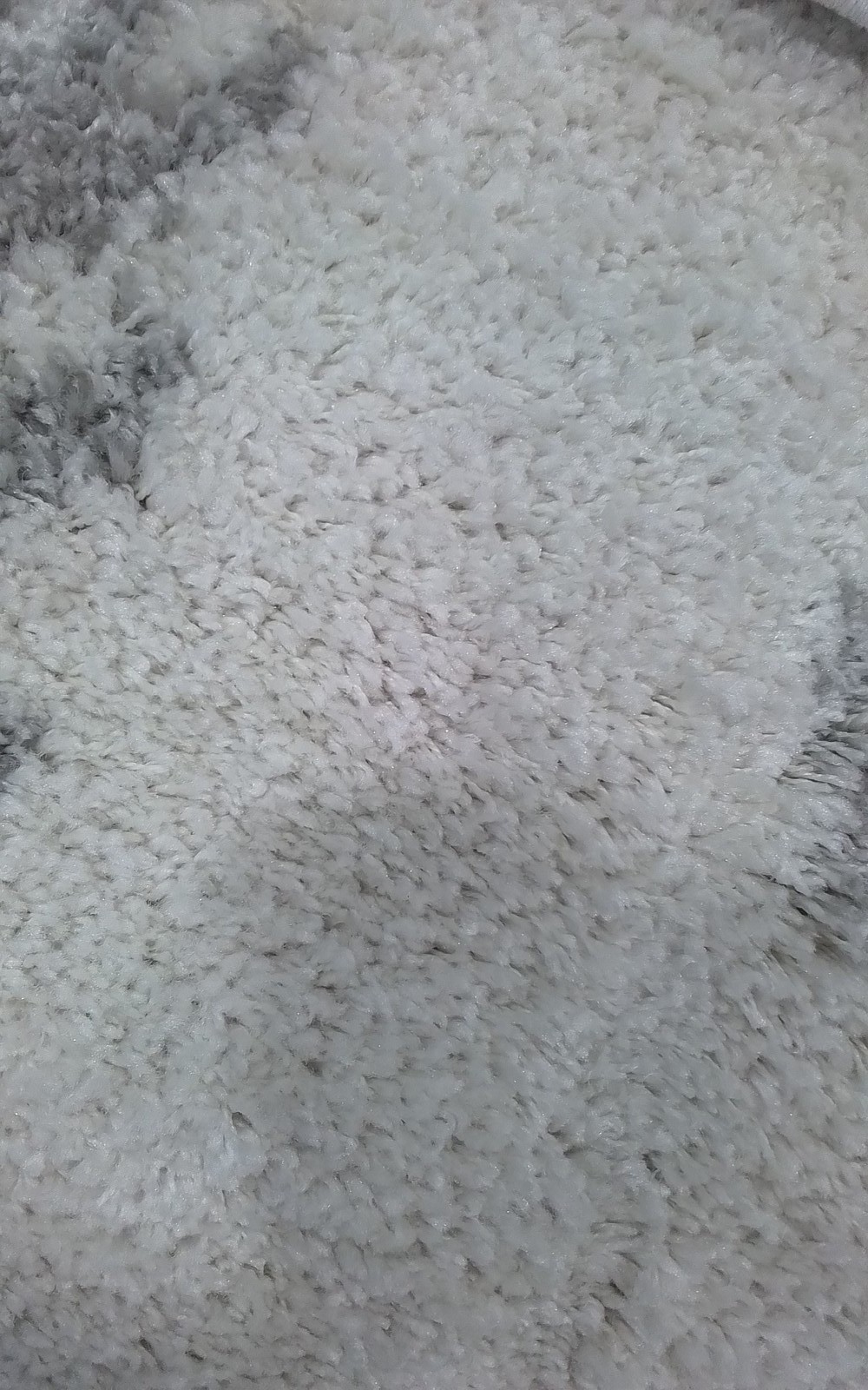 IVORY / GREY 8′-0″ x 10′-0″ Back Stain Rug, Reduced Price 3172810038 ASG749G-8