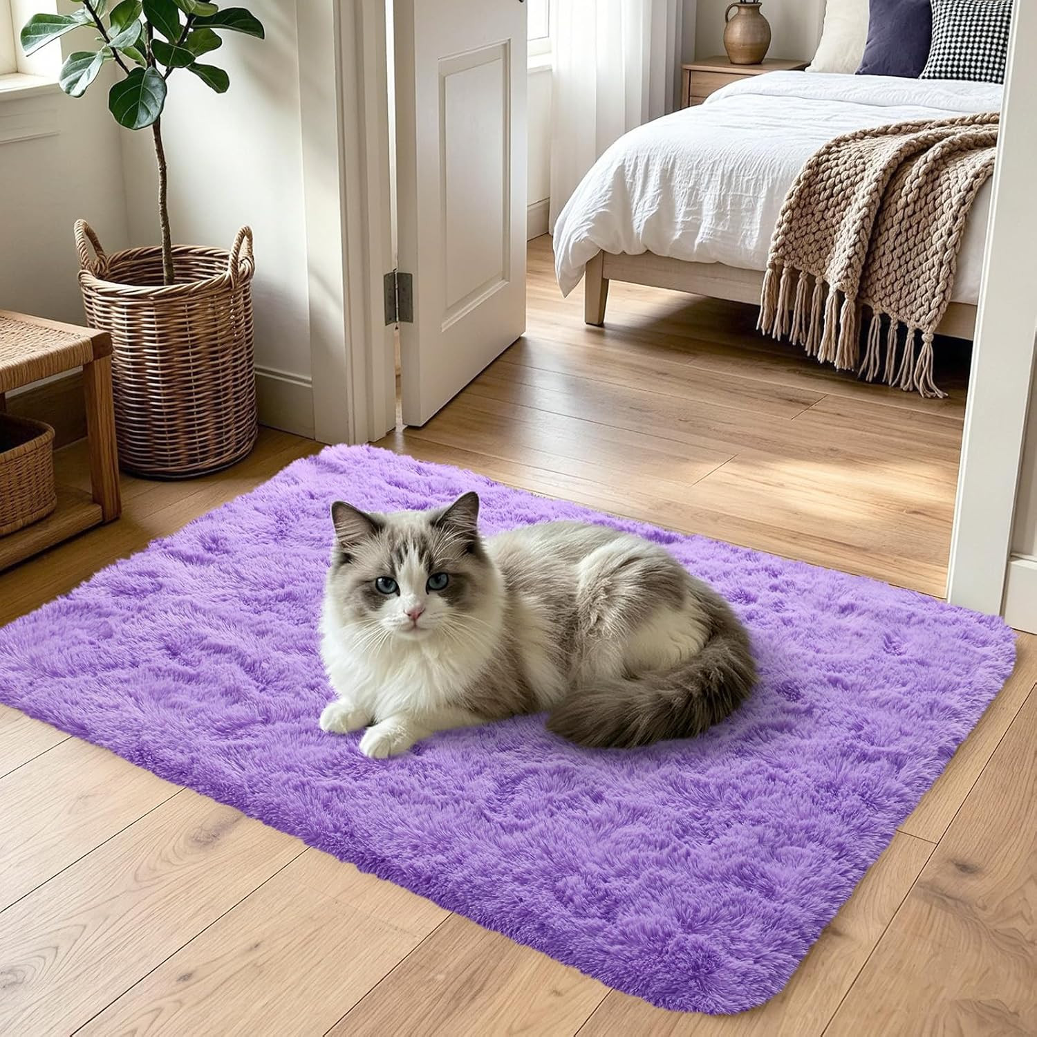 2×3 Purple Fluffy Soft Area Rug Non-Slip for Entryway Bedroom Dorm Hallway | Plu