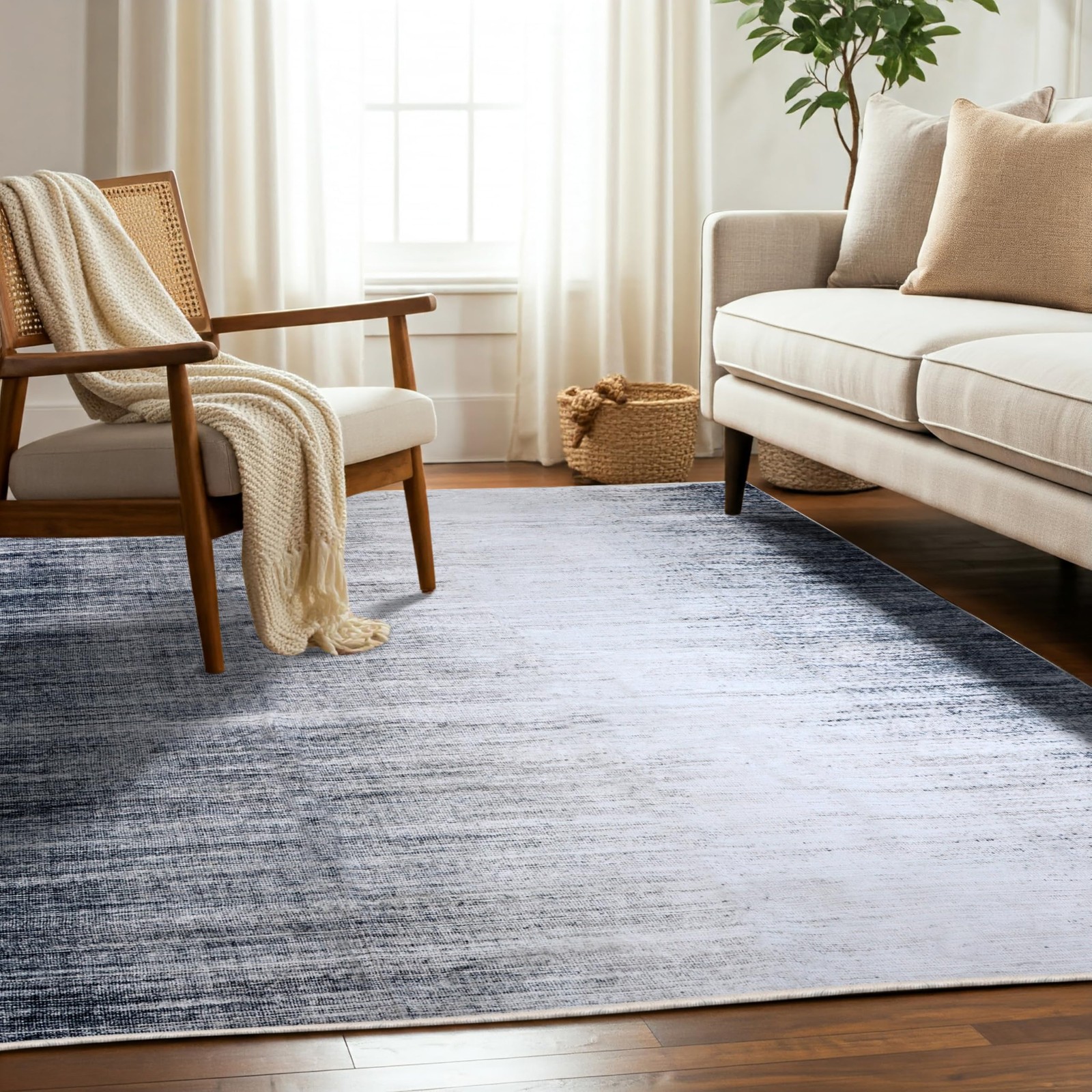 Delara Machine Washable Area Rug, Soft & Durable, Non-Slip, Stain Resistant R…