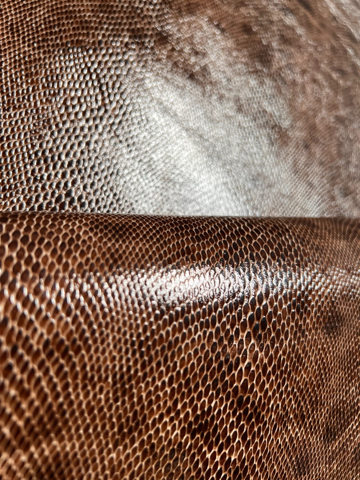 100% CALFSKIN LEATHER GARMENT HIDE SKIN 238226 PRINTED