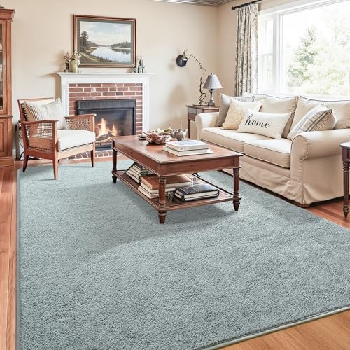 4×6 Minimalist Washable Area Rugs for Bedroom Living Room Classroom, Modern