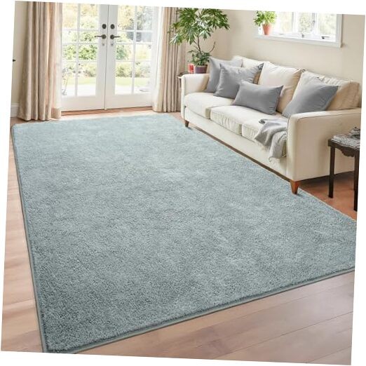 4×6 Minimalist Washable Area Rugs for Bedroom Living Room Classroom, Modern