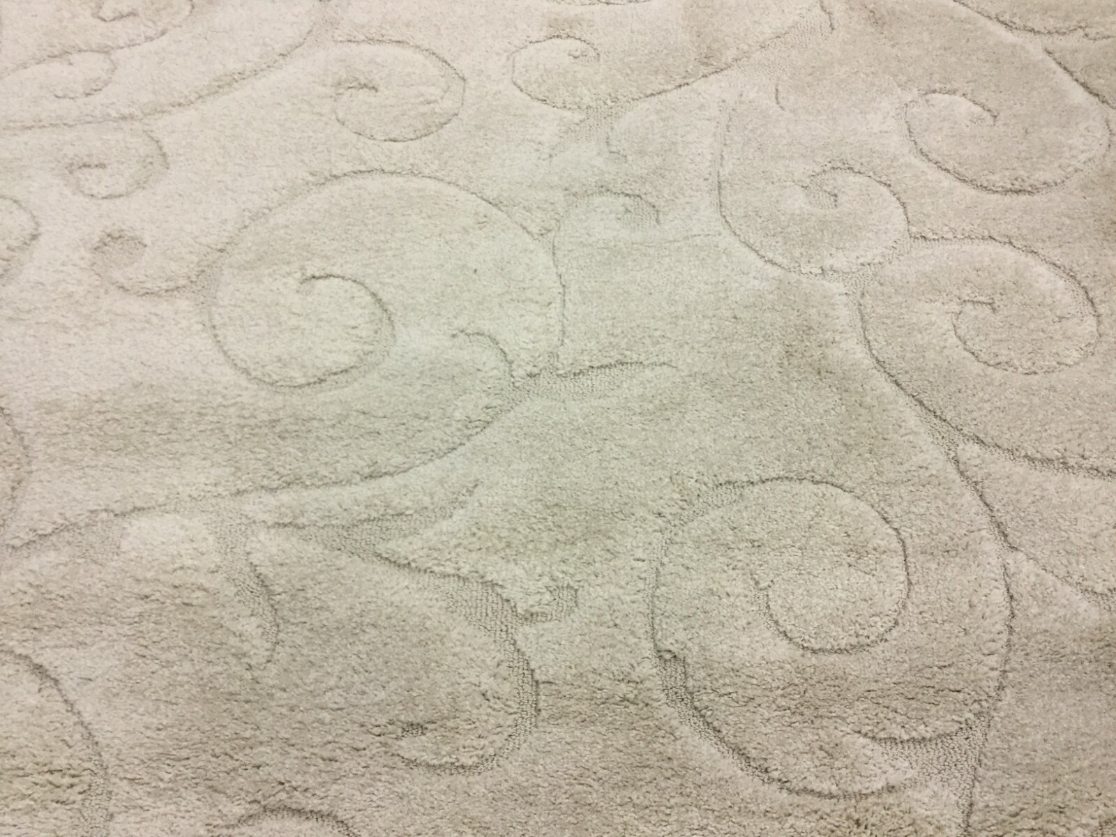 CREME / CREME 8′ X 10′ Damaged Rug, Reduced Price 1172630670 SG455-1111-8