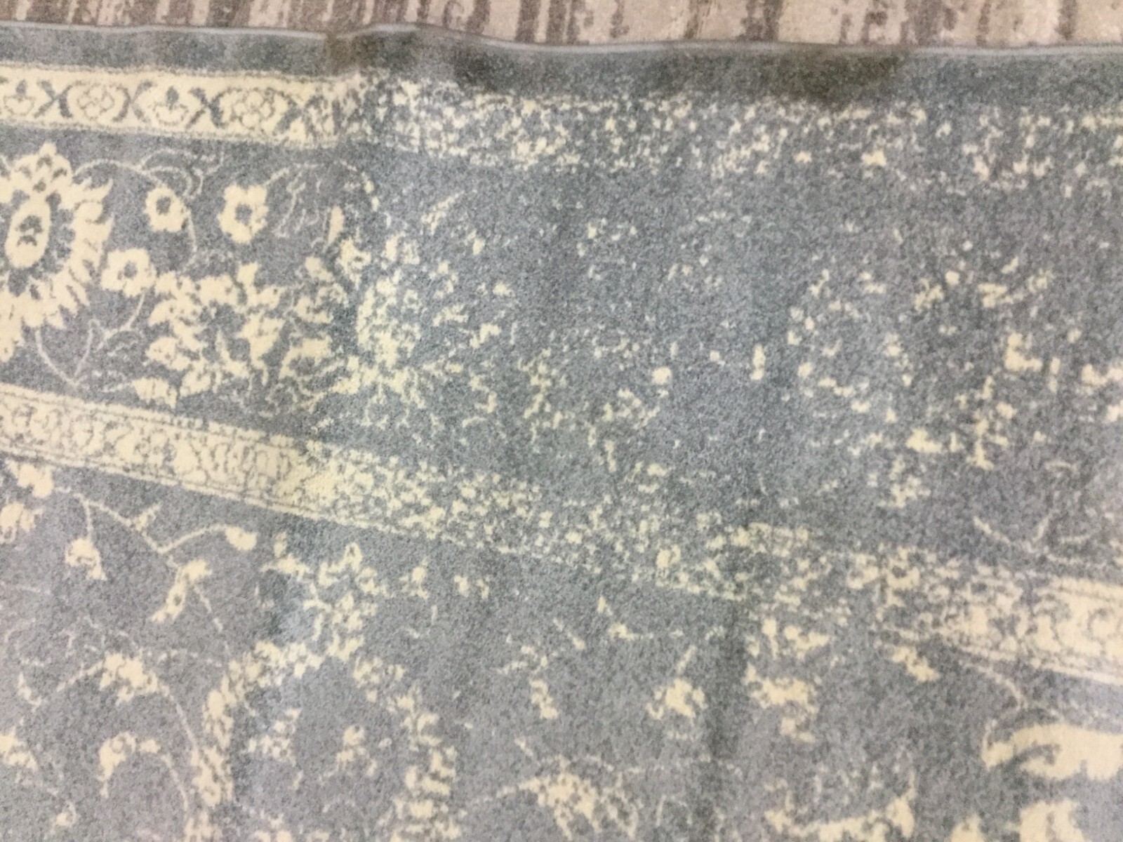 SLATE / IVORY 10′ X 14′ Stained Rug, Reduced Price 1172660444 ADR109T-10