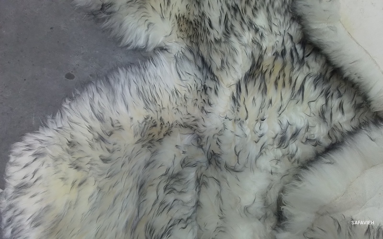 IVORY / SMOKE GREY 5′-5″ x 7′-7″ Flaw in Rug, Reduced Price 1172797420 SHS121E-5