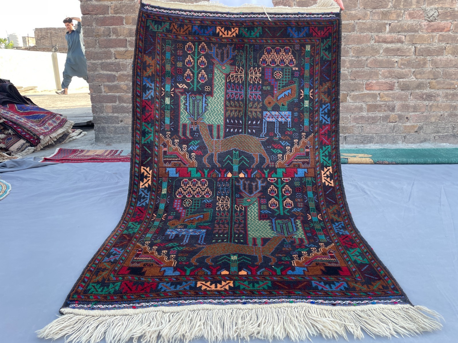 3×5 Collectible Baluchi Pictorial Rug Afghan Wool Carpet Animal Folk Art Tribal