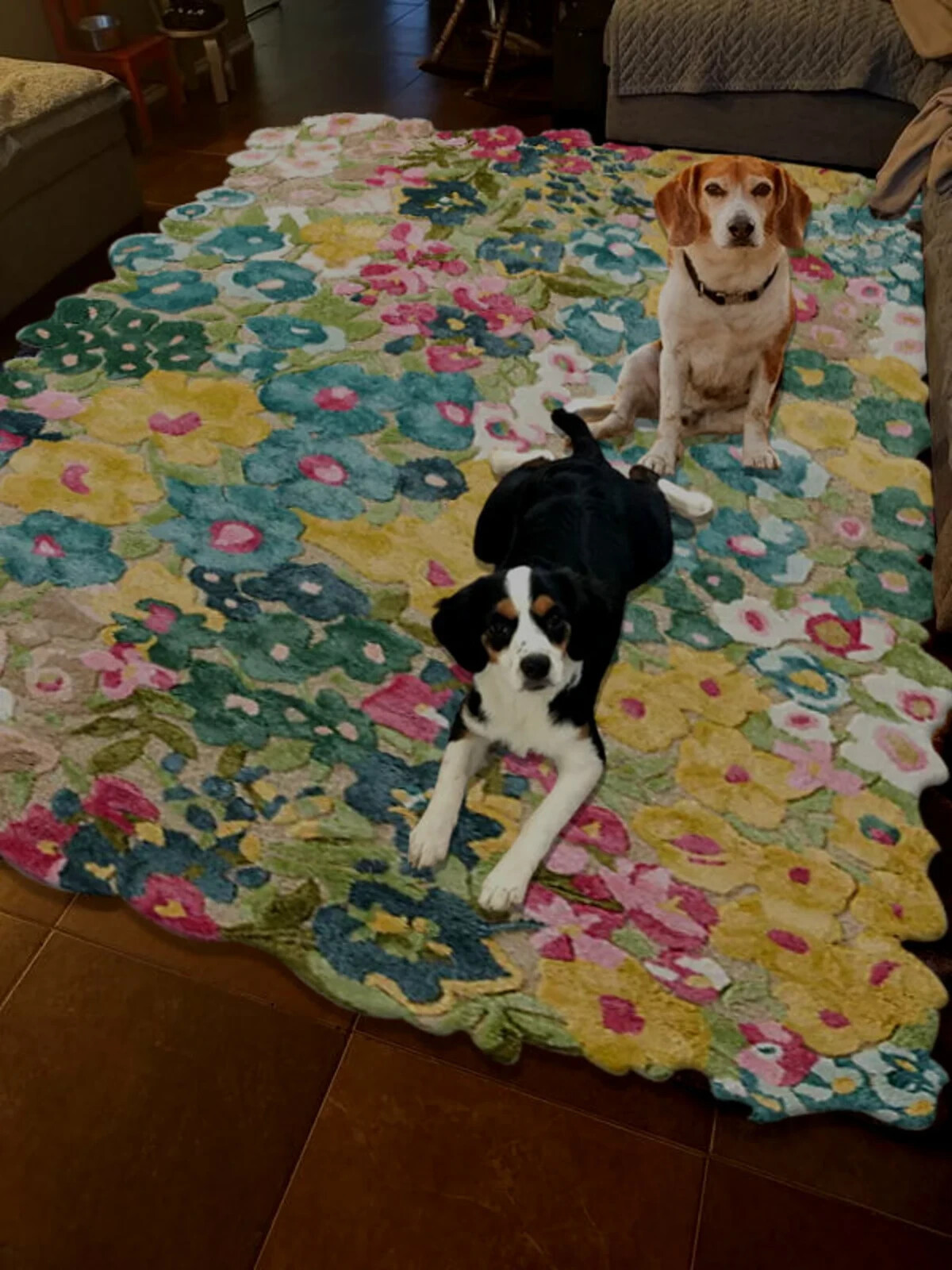 Cassia Rug Hand Tufted Rug Handmade Area Rug 100% Woolen Rugs for Bedroom, Kids