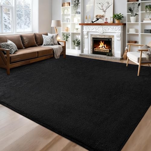 Large Area Rugs for Bedroom Living Room – Ultra Soft Rug 5×8 Feet Black