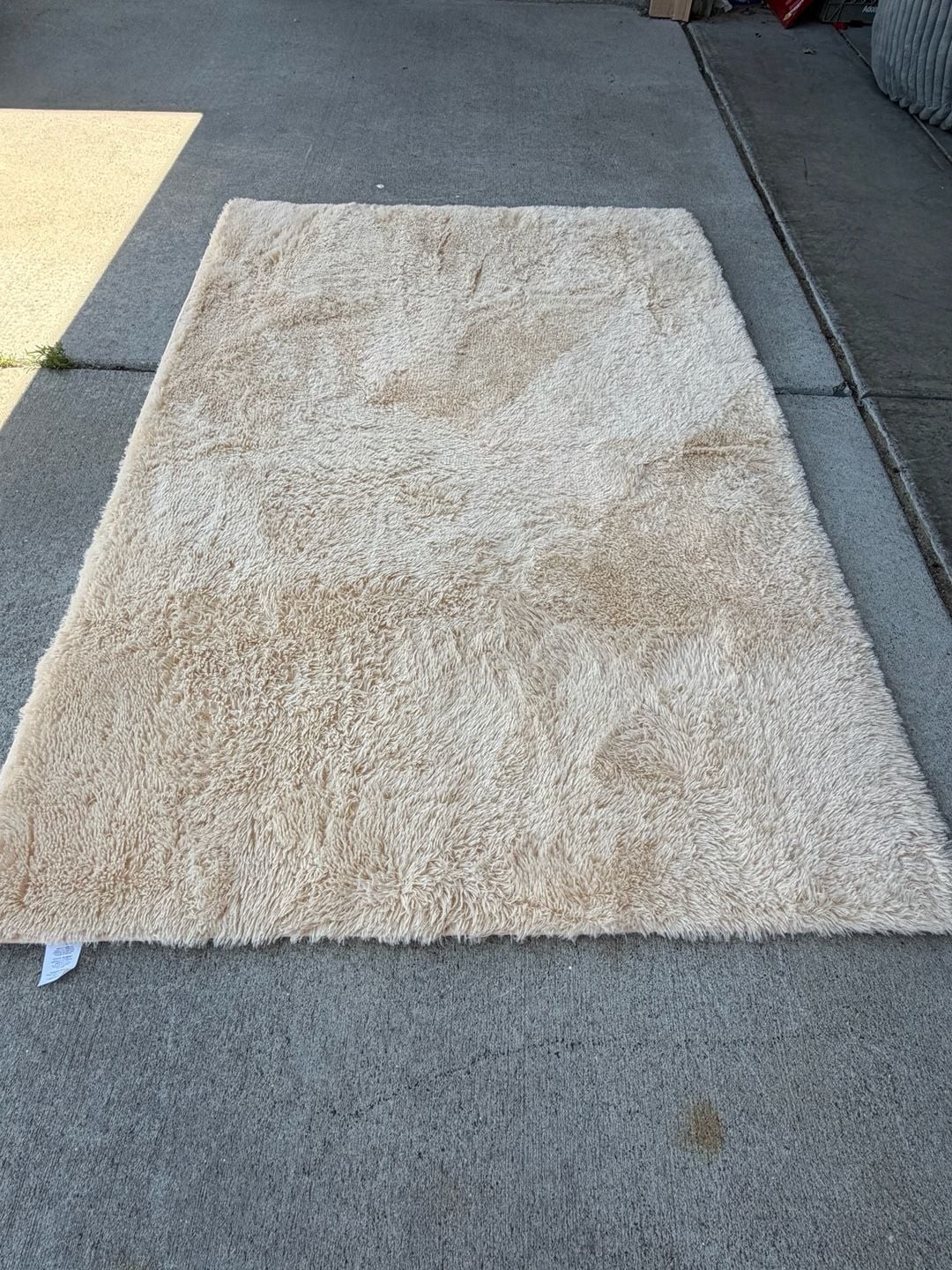 Nourison Escape Solid Bone 3’11” x 5’11” Shag Area Rug