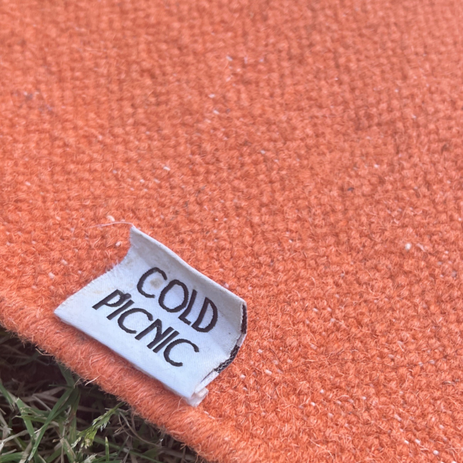 COLD PICNIC Wool Flat Weave FAWN Rug, Rectangle 25x 35 in, Orange
