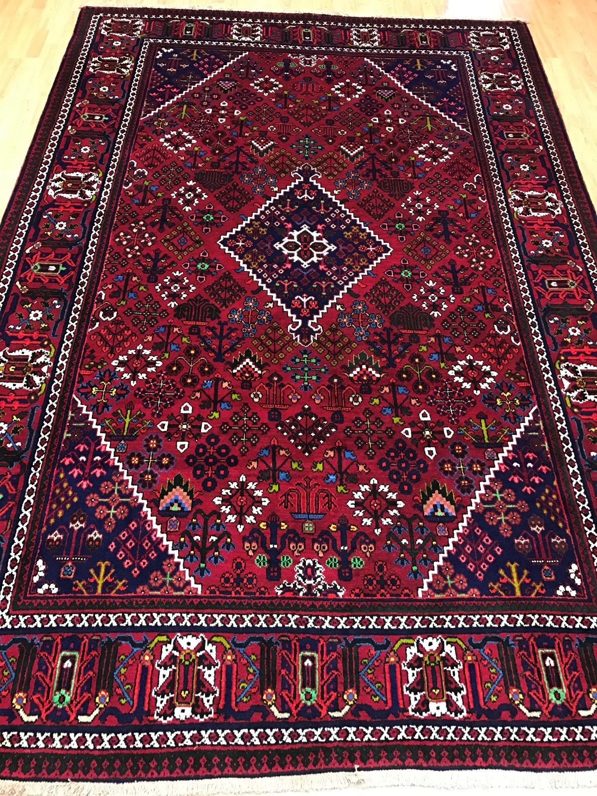 6’9″ x 10′ New Pakistani Oriental Rug – 100% Wool – Hand Made
