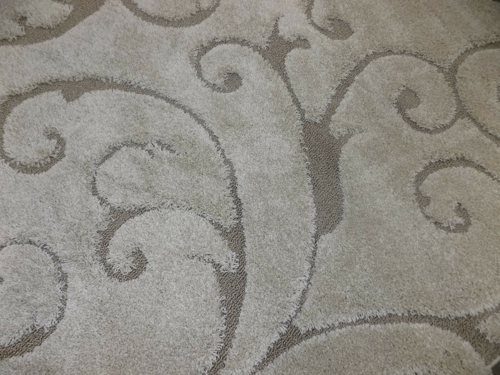 CREAM / BEIGE 6′-7″ X 6′-7″ Stained Rug Reduced Price 1172597118 SG455-1113-7R