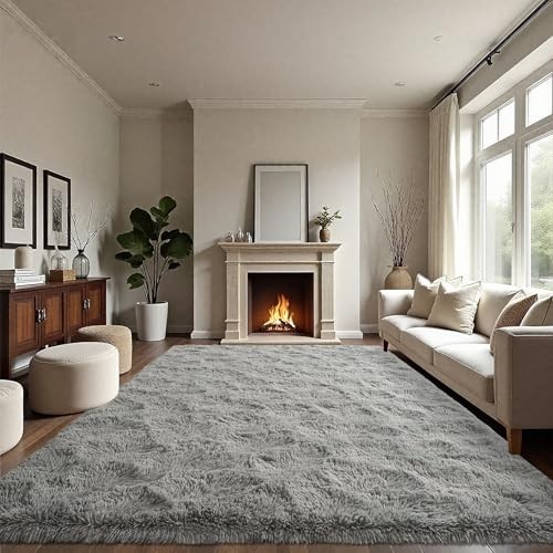 Ultra Soft Fluffy Area Rug 4×6 Feet – Modern Indoor Carpet for Living Room, Nurs