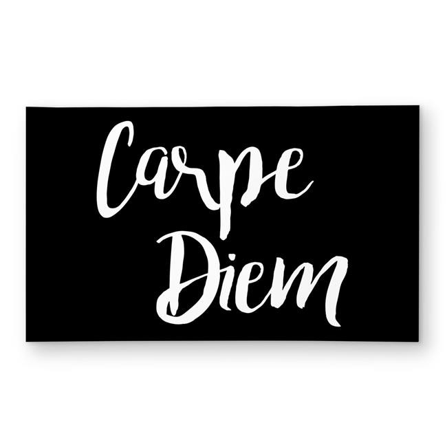 3×5 ft. Carpe Diem 2 – Black Quotes Motivational Outdoor Area Rug – Rectangle