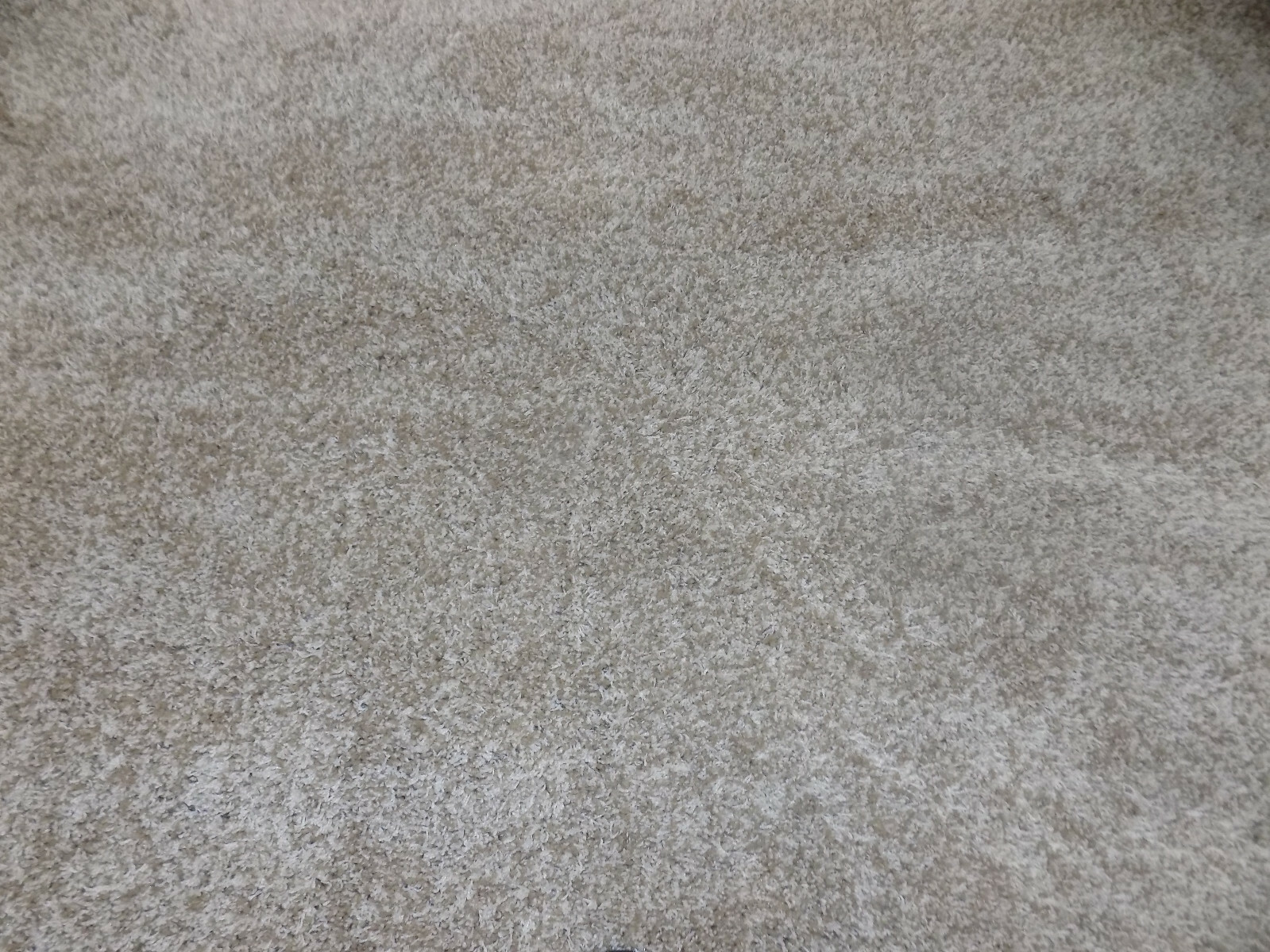 BEIGE 6′-7″ X 6′-7″ Damaged Rug Reduced Price 1172598180 SG151-1313-7SQ