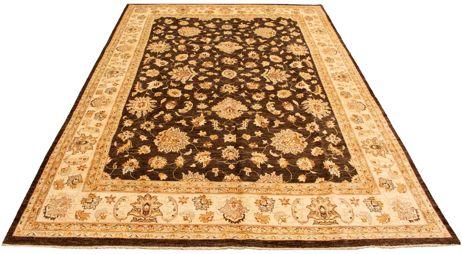 Hand Knotted Area Rug 9’10” x 14’5″ Traditional Oriental Wool Carpet