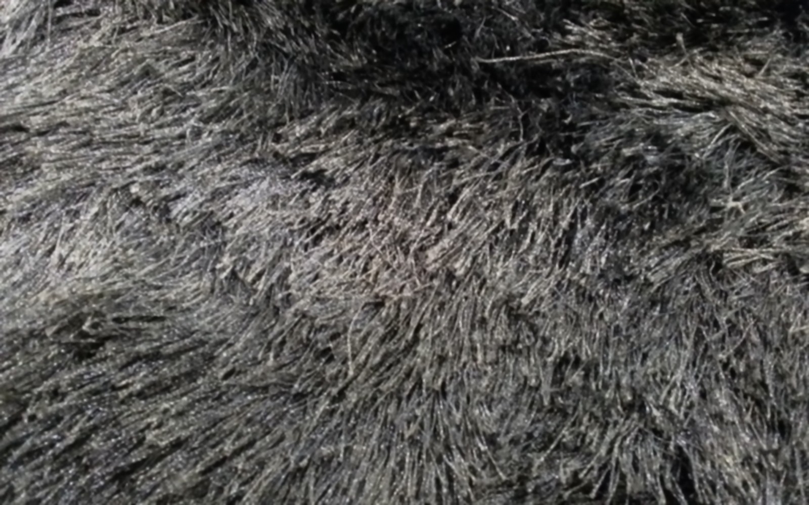 CHOCOLATE 5′-0″ x 7′-0″ Flaw in Rug, Reduced Price 3172810617 SG511-2727-57