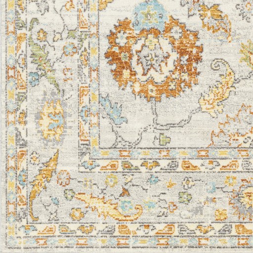 Surya Traditional Turkish Area Rug Beige Machine Woven NEW BDM-2311
