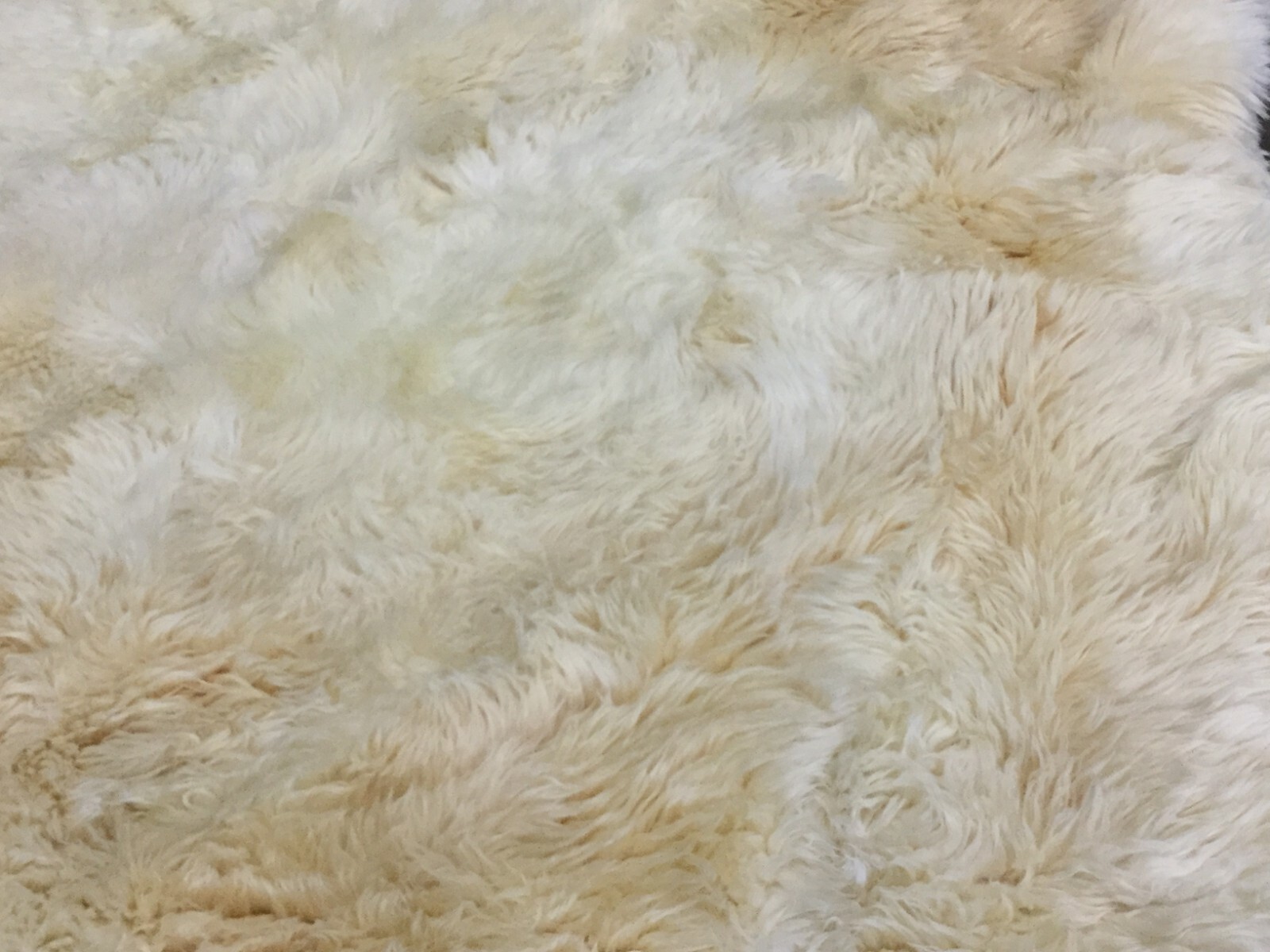 WHITE 5′-5″ X 7′-7″ Back Stain Rug, Reduced Price 1172655645 SHS121A-5