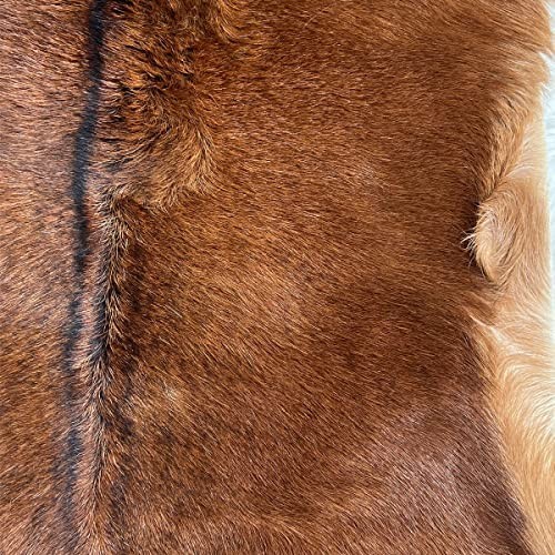 Deer Hide Rug 2.3×1.8 Ft Real Deerskin Area Rug Hunting Decor Fawn Mat