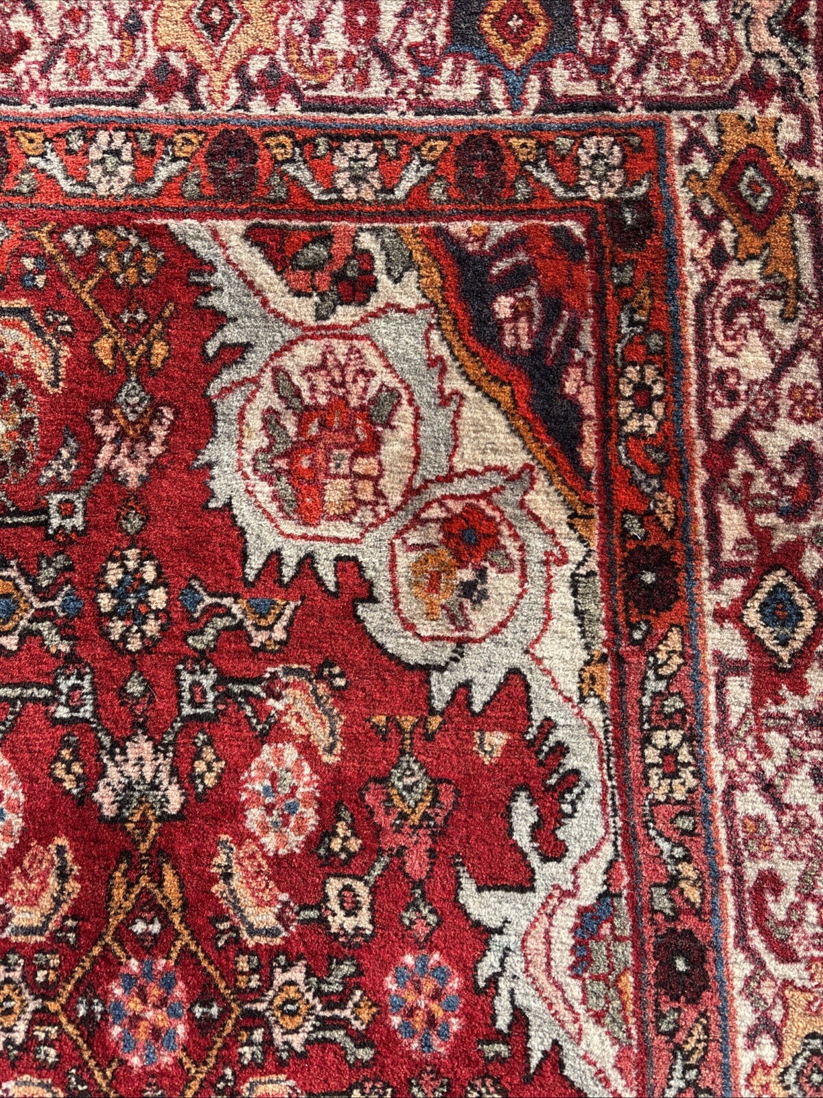 Densely Woven 4 X 6 True Bidjar Rug Herati Pattern Brick Sunset Pale Blue Ivory