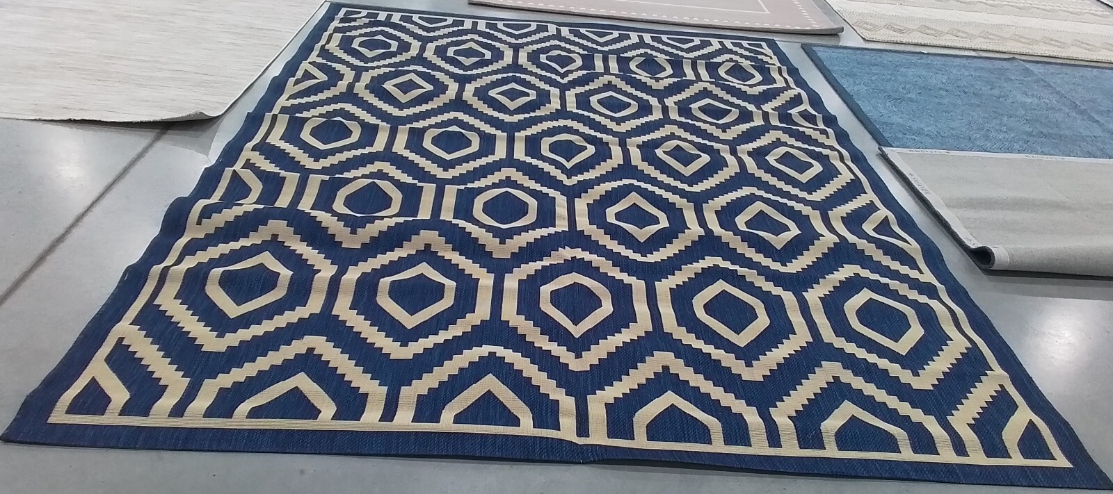 NAVY / BEIGE 9′-0″ x 12′-0″ Back Stain Rug Reduced Price 1172762569 CY6902-268-9