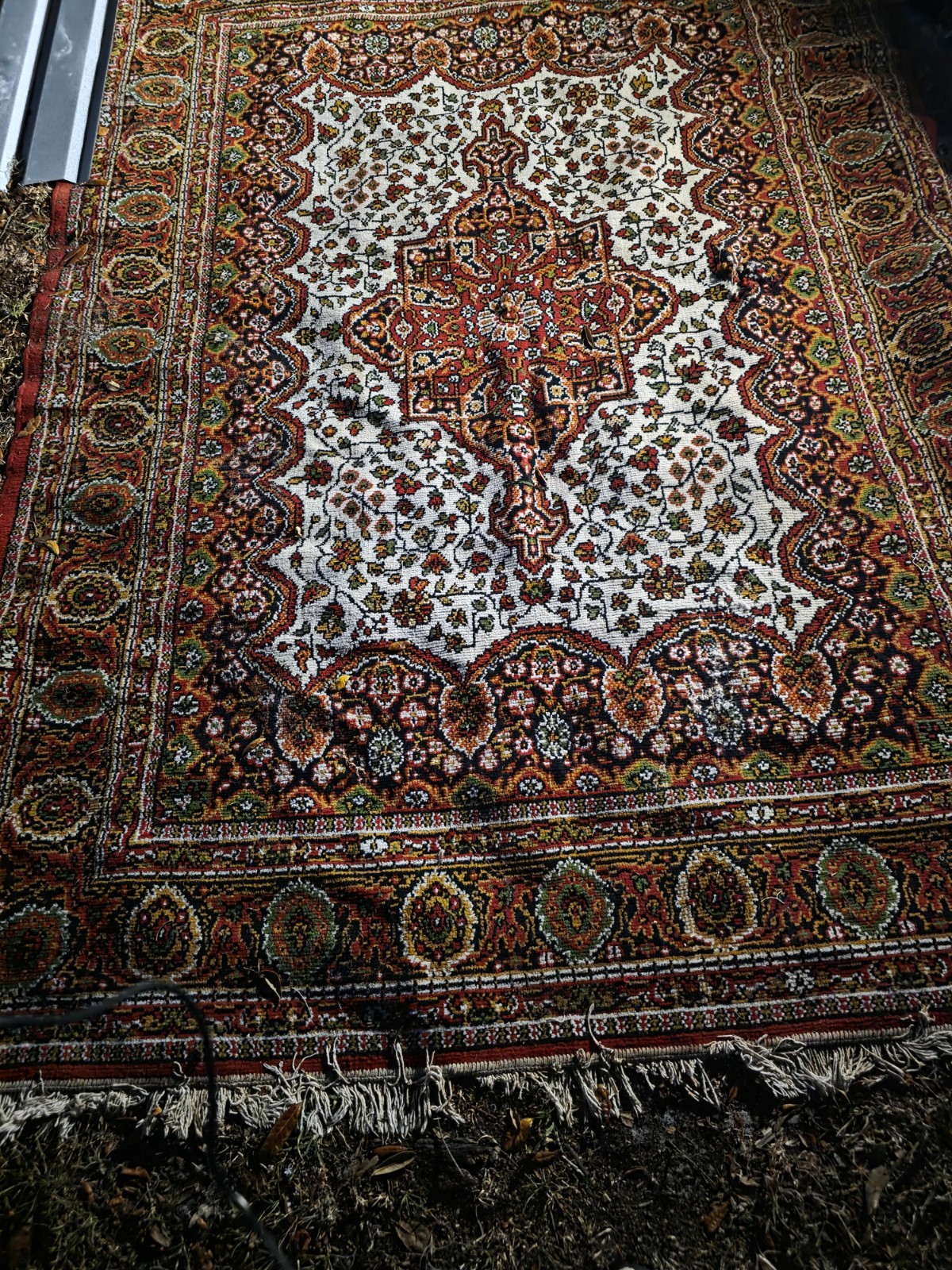 Soliroos and F 100% Wool Oriental Pattern Multicolor Area Rug Rectangle